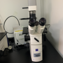倒置荧光显微镜