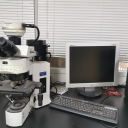 全自动研究级正置荧光显微镜