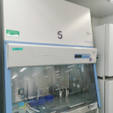 213生物安全柜-5
