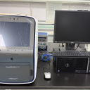 实时荧光定量PCR仪Q6 Pro