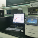 实时荧光定量PCR仪Q3