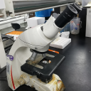 常规正置显微镜