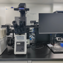 荧光倒置显微镜