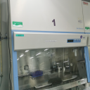 213生物安全柜-1