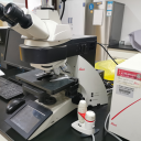 全自动研究级正置荧光显微镜leica