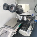 正置荧光显微镜