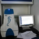 细胞能量代谢分析系统