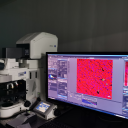 Zeiss LSM800激光共聚焦显微镜