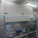 213生物安全柜-6（病毒专用）