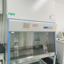 B217生物安全柜